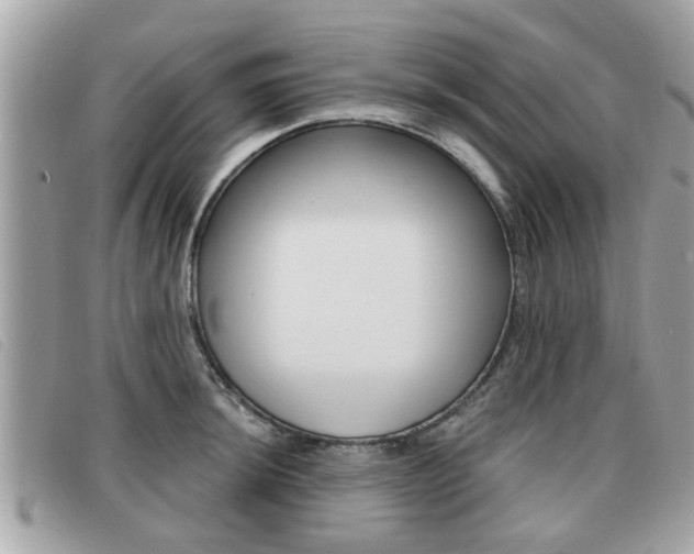 X0000091531044200708170946