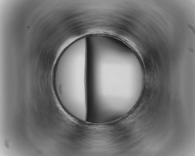 X0000091531045200708170946