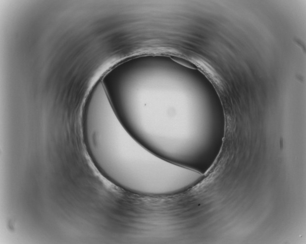 X0000091531046200708170946