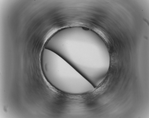 X0000091531047200708170946