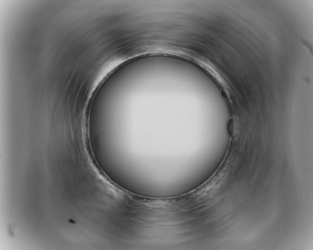 X0000091531048200708170946