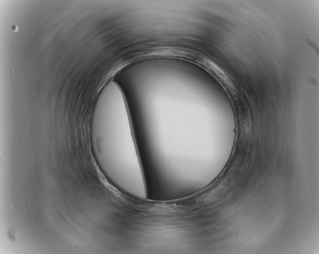 X0000091531049200708170946