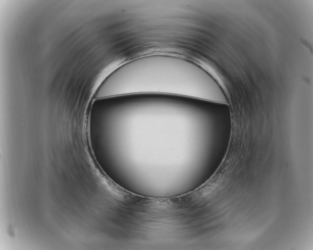 X0000091531050200708170946