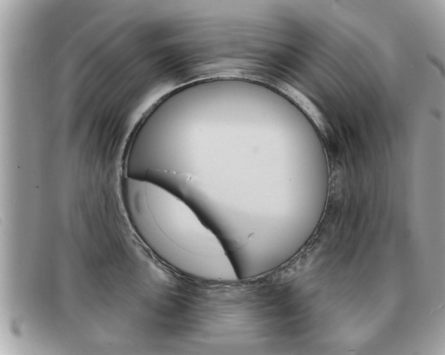 X0000091531051200708170946