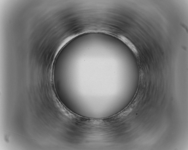 X0000091531052200708170946