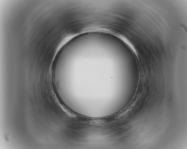 X0000091531053200708170946