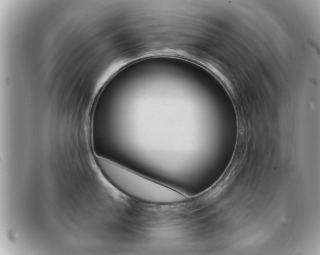 X0000091531054200708170946