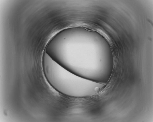 X0000091531055200708170946