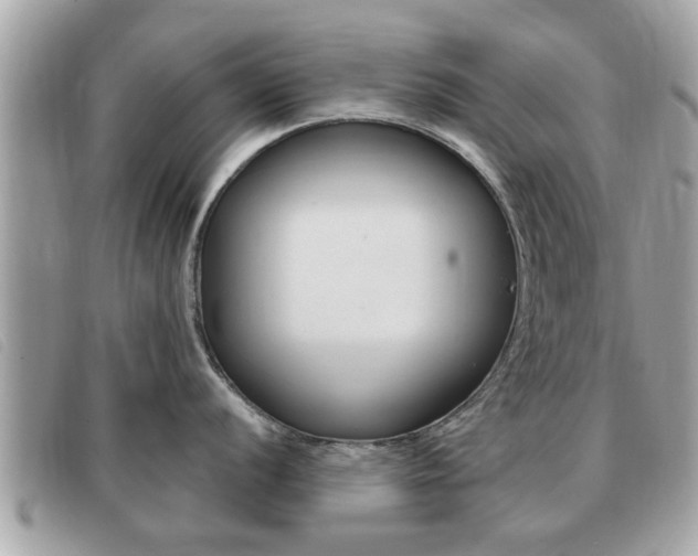 X0000091531056200708170946