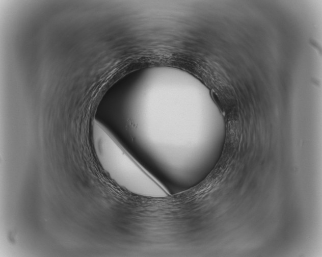 X0000091531057200708170945