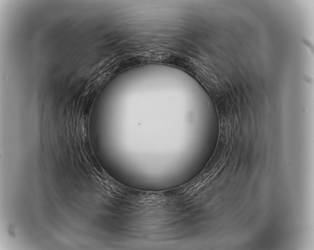 X0000091531058200708170945