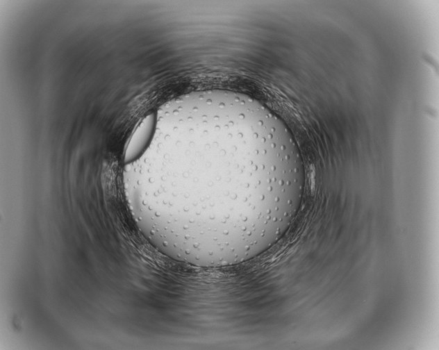 X0000091531059200708170945