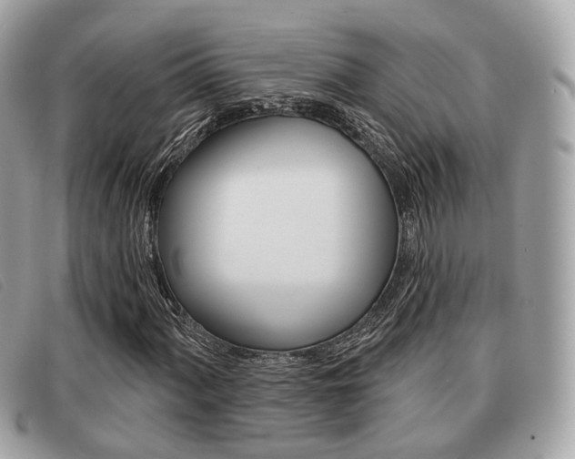 X0000091531060200708170945