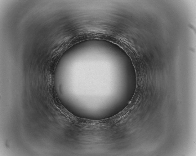 X0000091531061200708170945