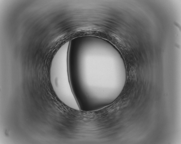 X0000091531062200708170945