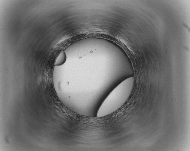 X0000091531063200708170945