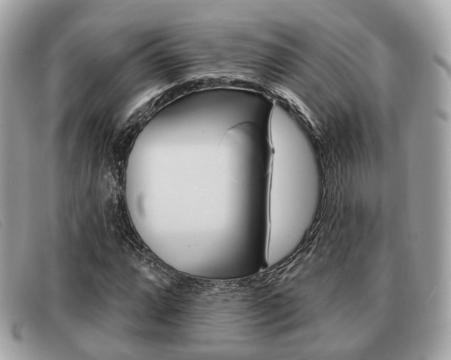 X0000091531064200708170945