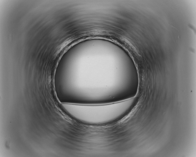 X0000091531065200708170945