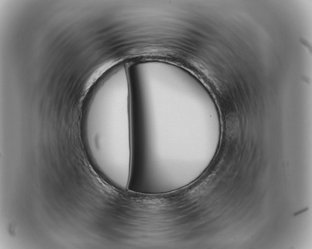 X0000091531066200708170945