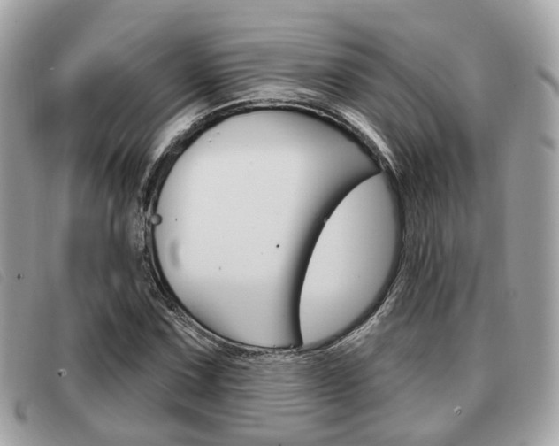 X0000091531067200708170945