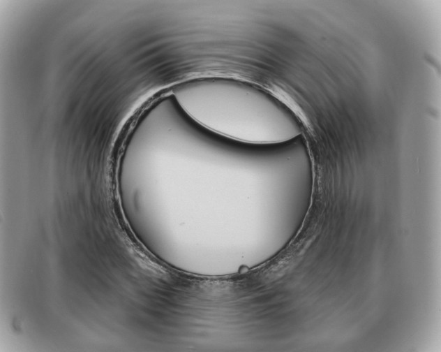 X0000091531068200708170945