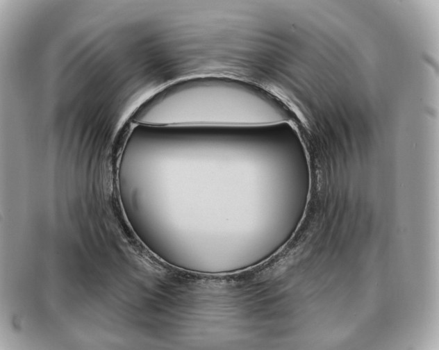 X0000091531069200708170945