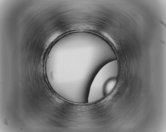 X0000091531071200708170945