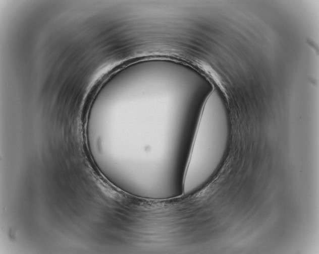 X0000091531072200708170945