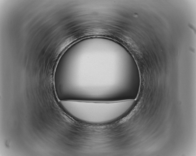 X0000091531073200708170945