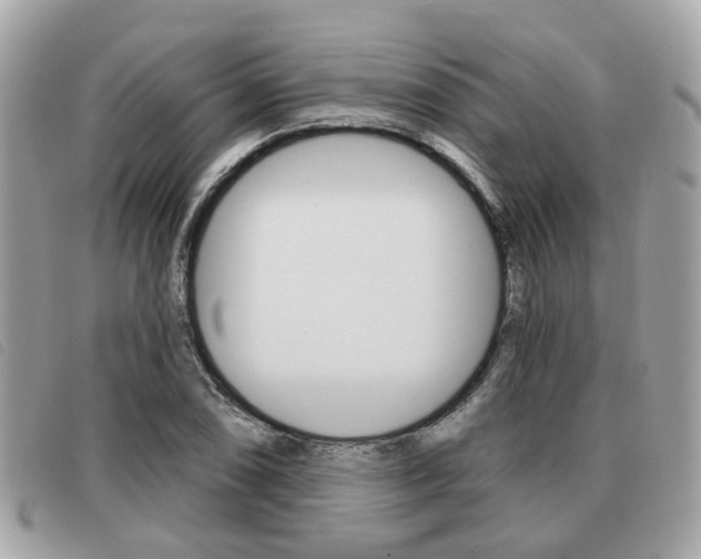 X0000091531074200708170945