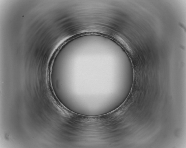 X0000091531076200708170945