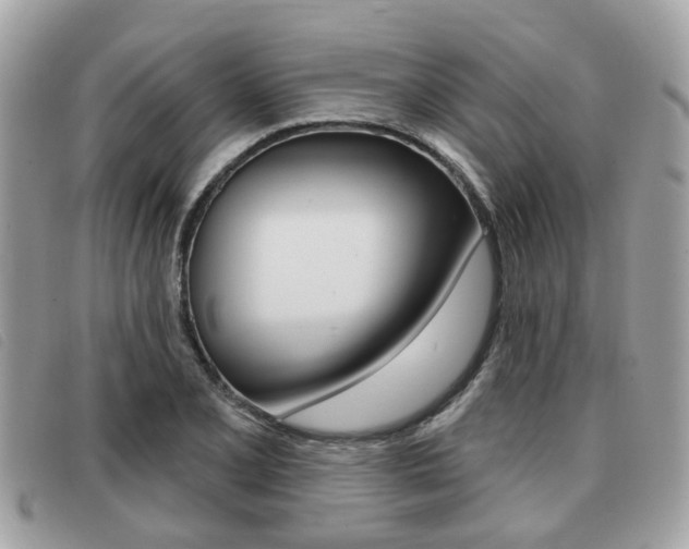 X0000091531077200708170945