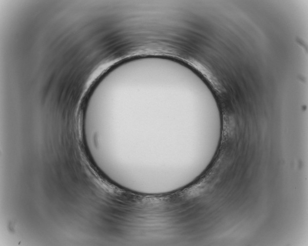 X0000091531078200708170945