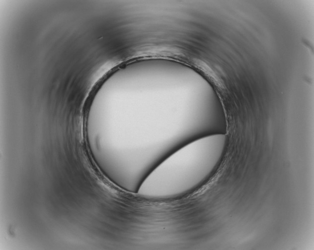 X0000091531079200708170945
