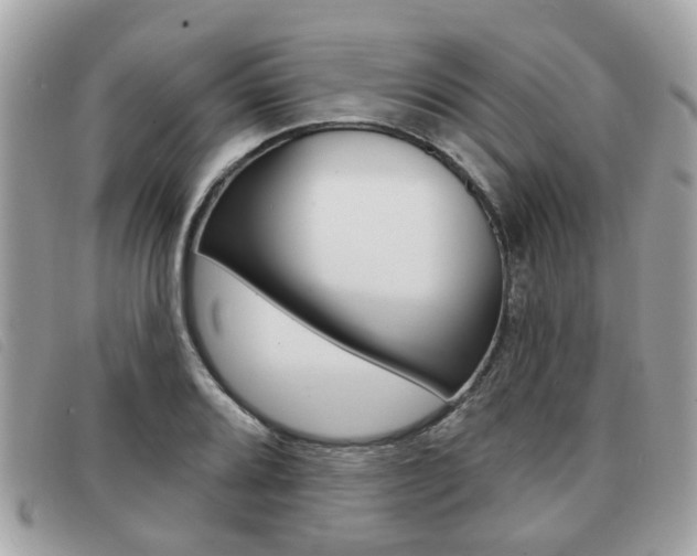 X0000091531080200708170945