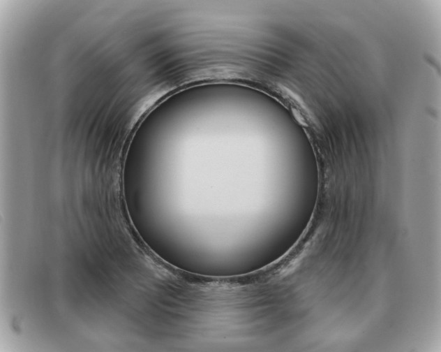 X0000091531081200708170945