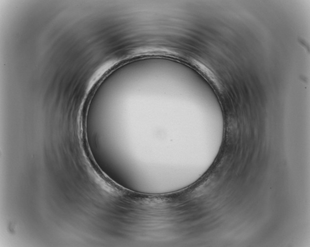 X0000091531082200708170945