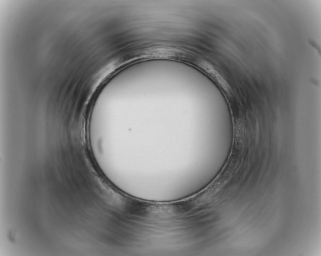 X0000091531083200708170945