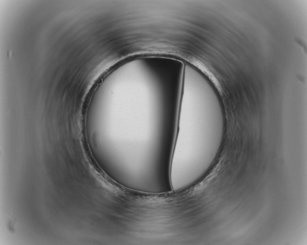 X0000091531085200708170945