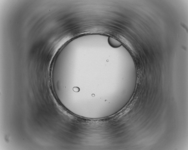 X0000091531087200708170945