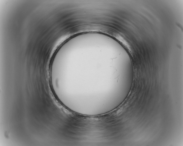 X0000091531088200708170945