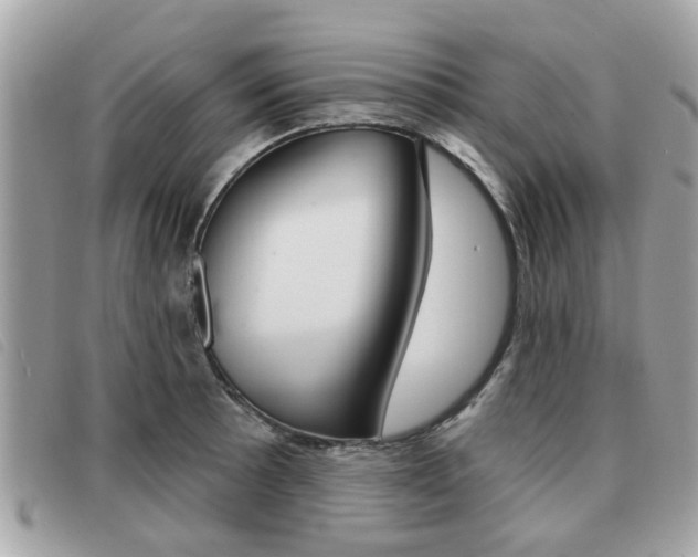 X0000091531089200708170945