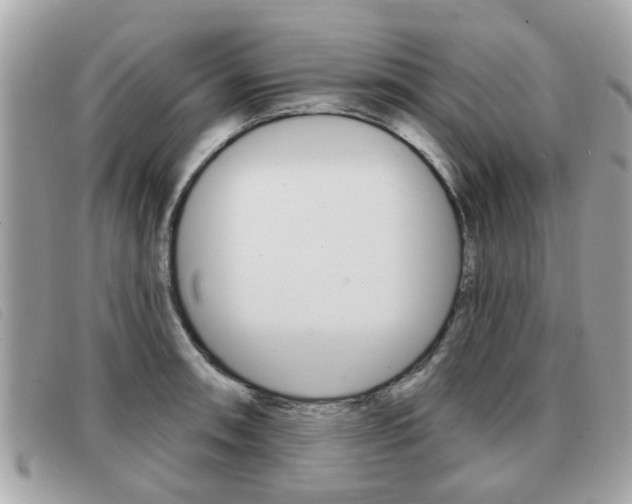X0000091531090200708170945