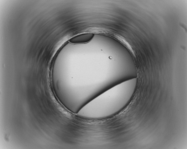 X0000091531091200708170945