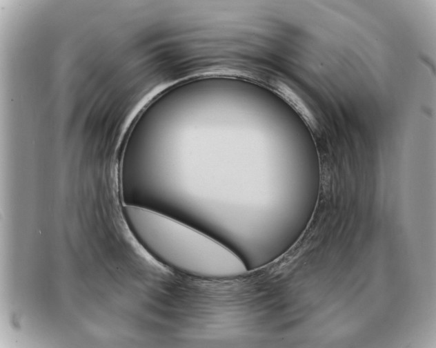 X0000091531092200708170945