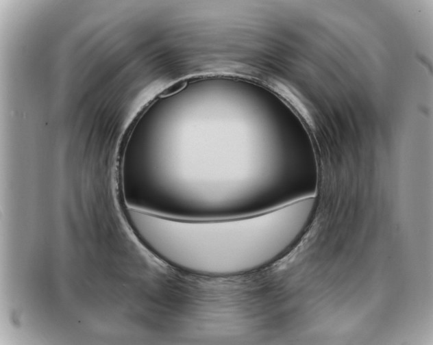 X0000091531093200708170945