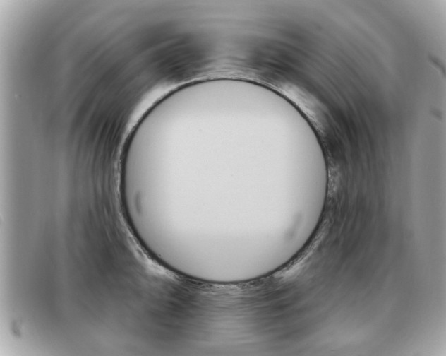 X0000091531094200708170945