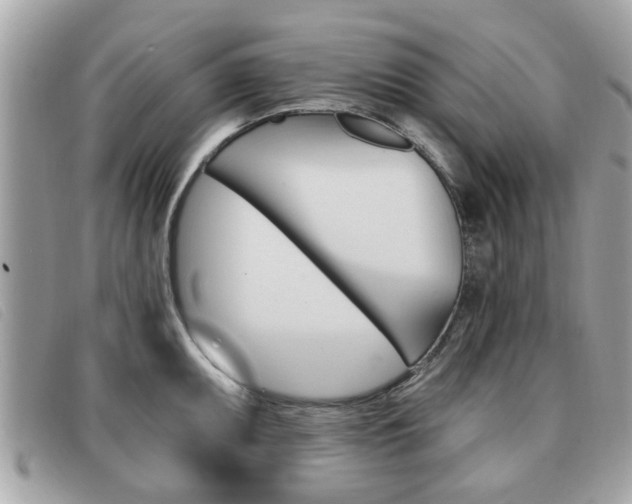 X0000091531095200708170945