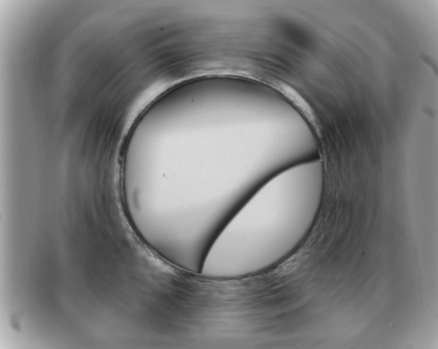 X0000091531096200708170945
