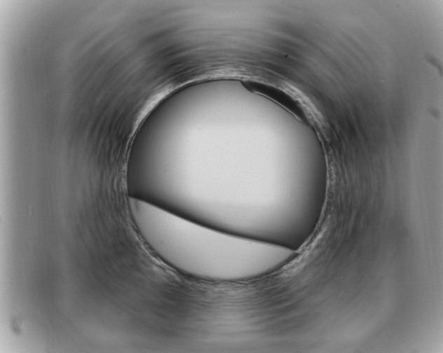 X0000091531097200708170945